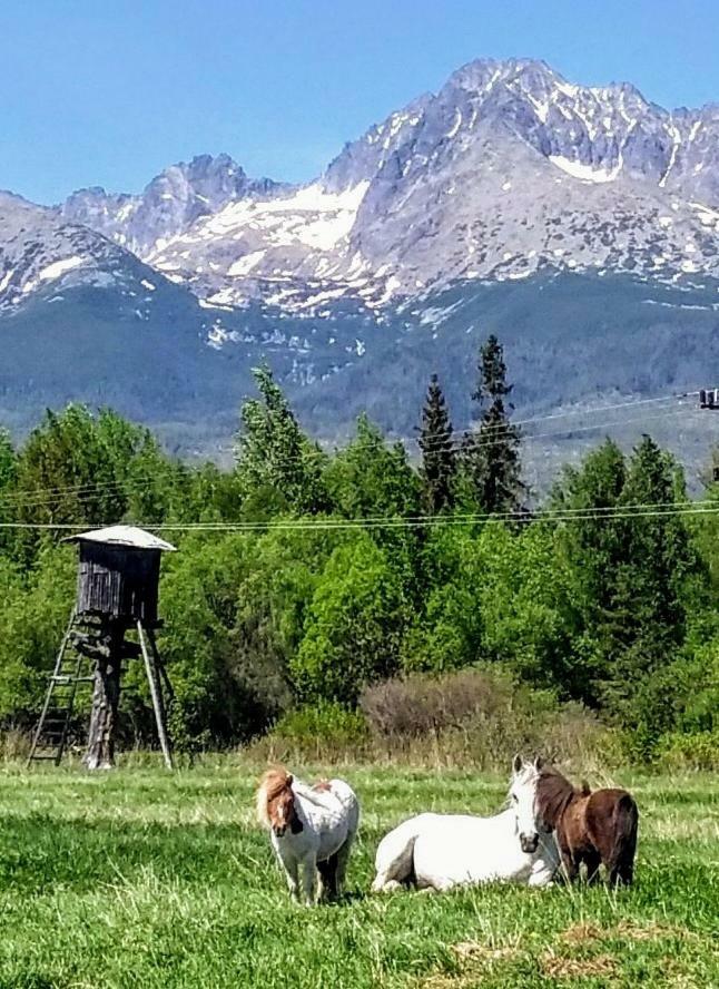 Penzion Monty Ranch Vysoke Tatry Stola Hotell Exteriör bild